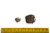 F 00191
<br/>
<br/>
<em></em>